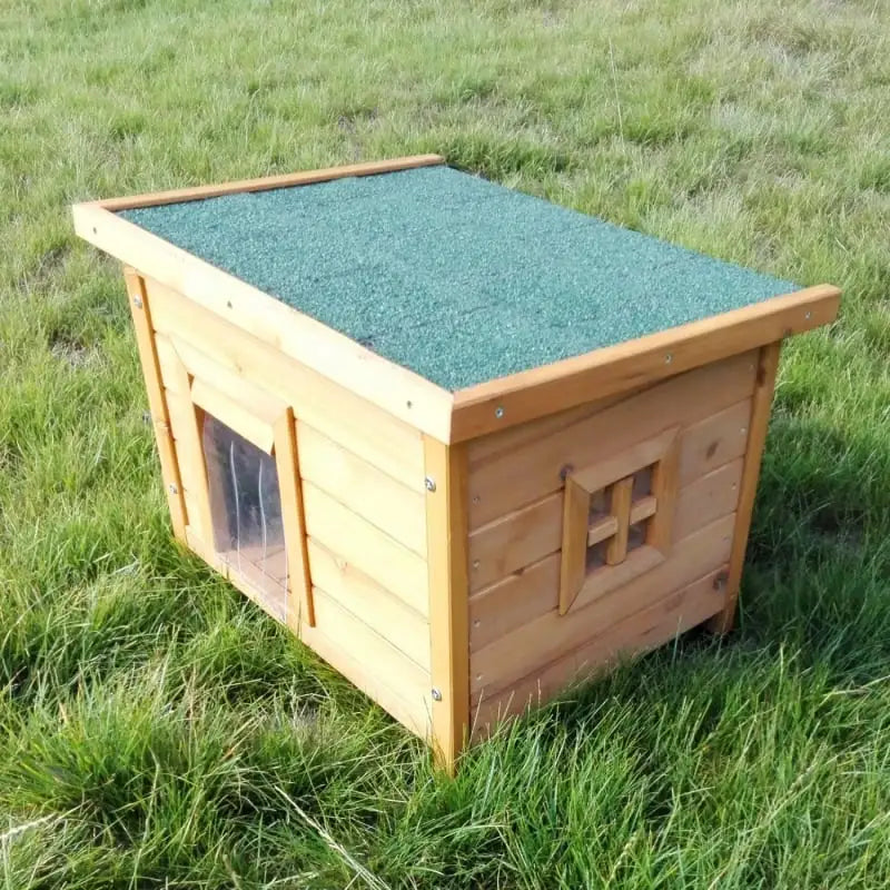 Cabane Chat Extérieur