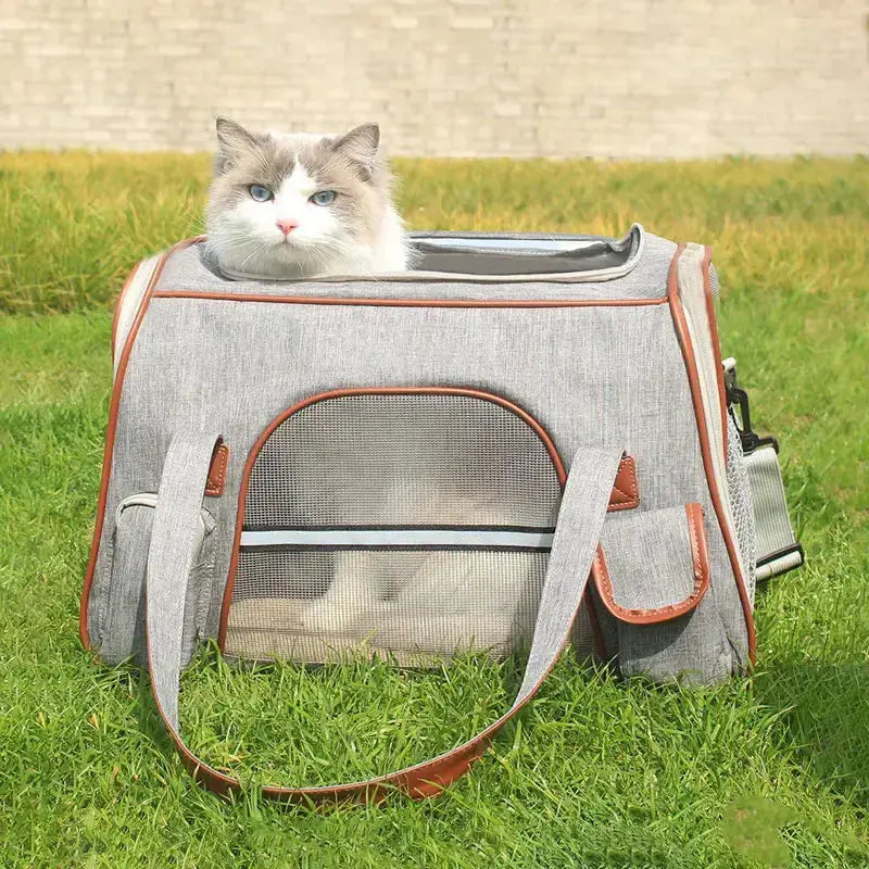 Niche De Transport Pour Chat